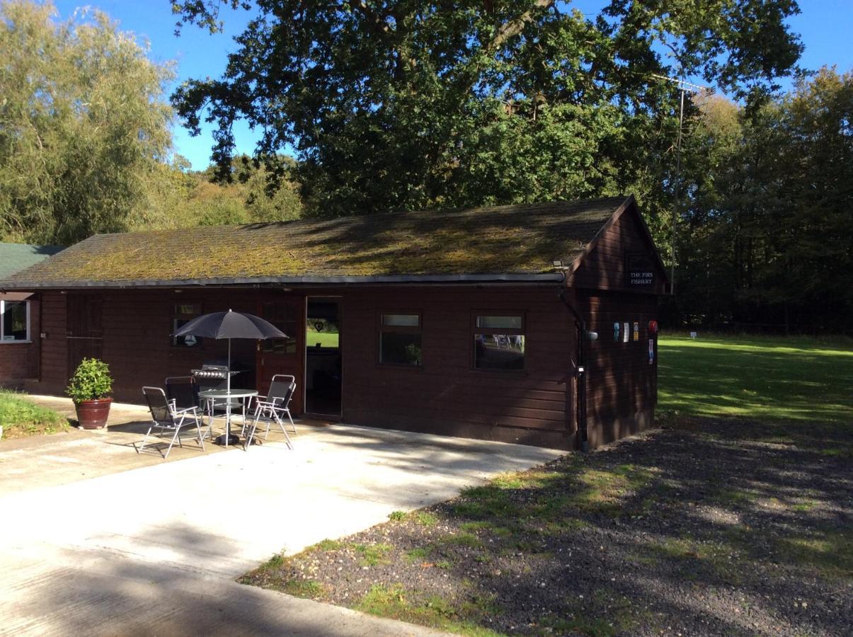 The Firs Villa Ashford  Exterior photo